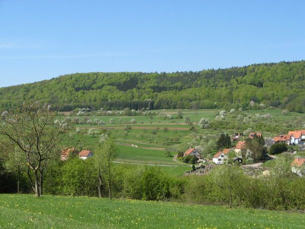 Gte nature le rucher en alsace