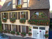 Photo Gte rural Barr Gite du vignoble