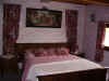 Photo Chambre d'hte Teneur Les clmatites