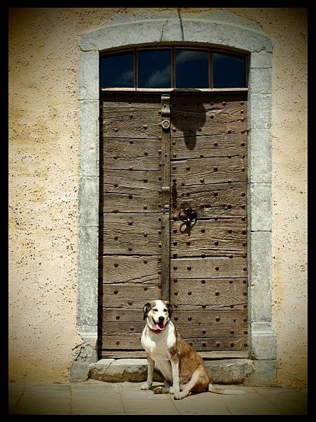 Photo Chambre d'hte Hagetaubin Long