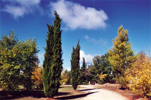 Photo Camping Artignosc sur verdon L'avelande