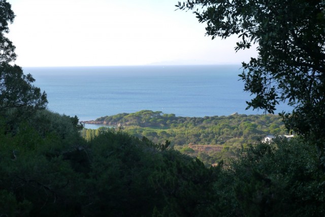 Casa marta