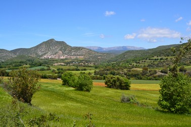 Valle donde est el mol