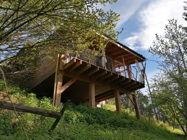 La fortance paradis naturel 06 14 14 23 39