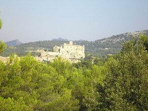 Photo Maison / Villa Le barroux Location vacances au mt ventoux